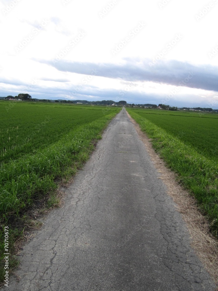 田舎道