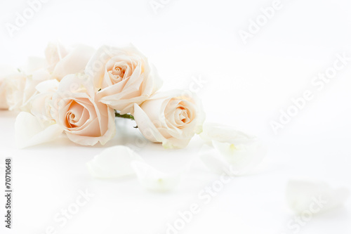 Fototapeta Naklejka Na Ścianę i Meble -  white roses and petals