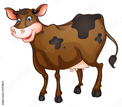 Cow
