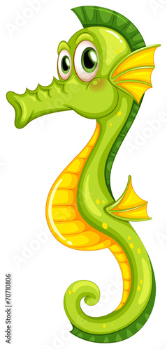 Seahorse