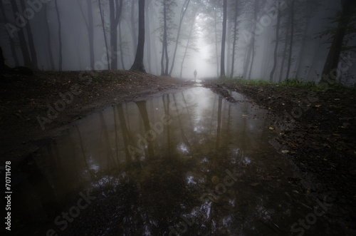 man shadow in a dark forest...