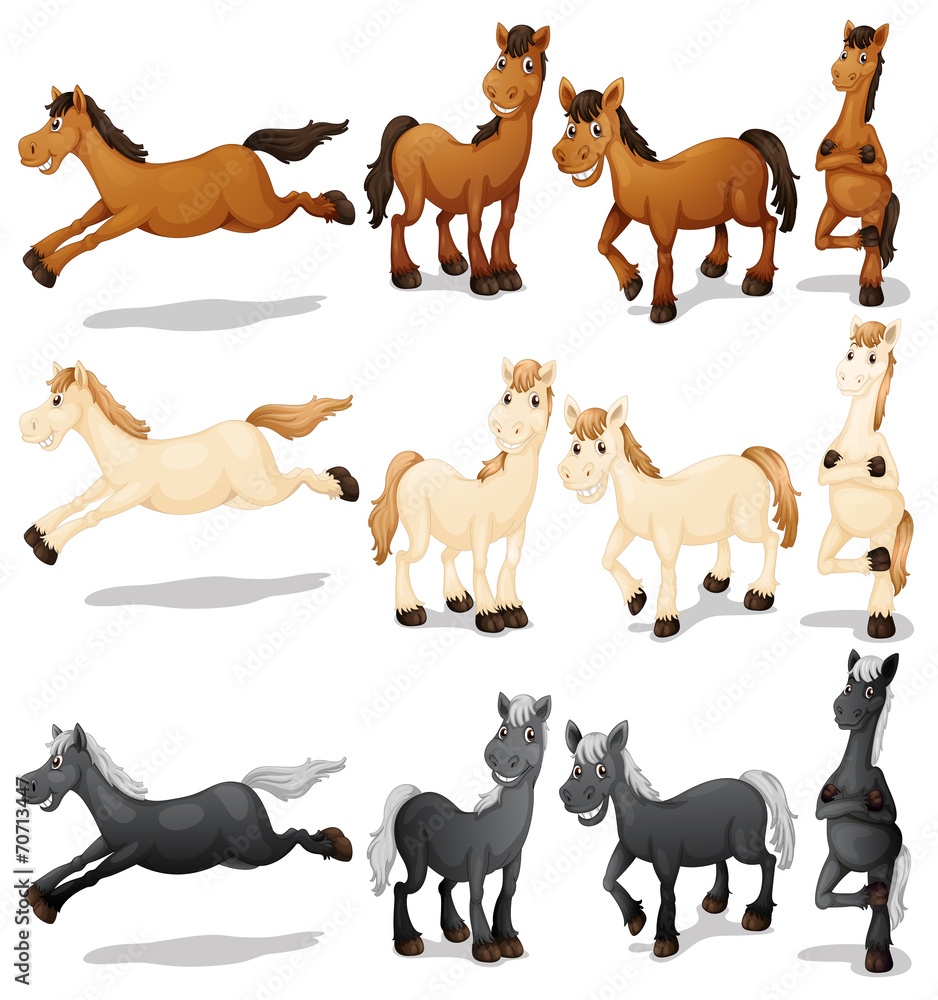 Obraz premium Horse set