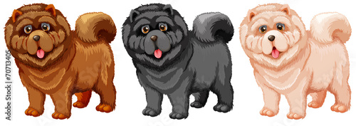 Chow Chow