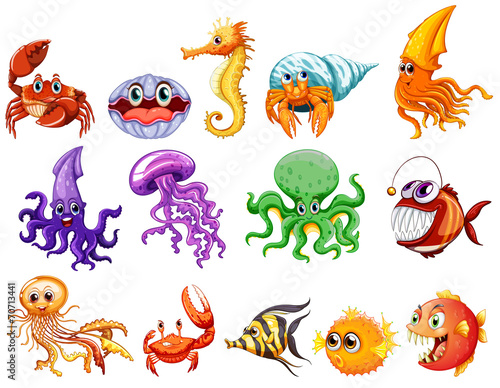 Sea creatures