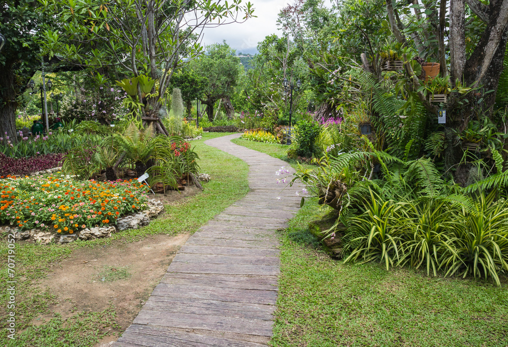 pathway in the tropical garden pathway in the tropical garden