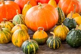 ripe organic colored pumpkins