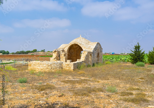 The ruins in the field photo