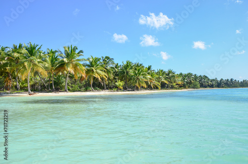Fototapeta Naklejka Na Ścianę i Meble -  Tropical beach with palm and turquoise sea