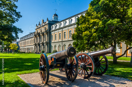 Wallpaper Mural 6786 Bonn- Kanonen im Park Torontodigital.ca