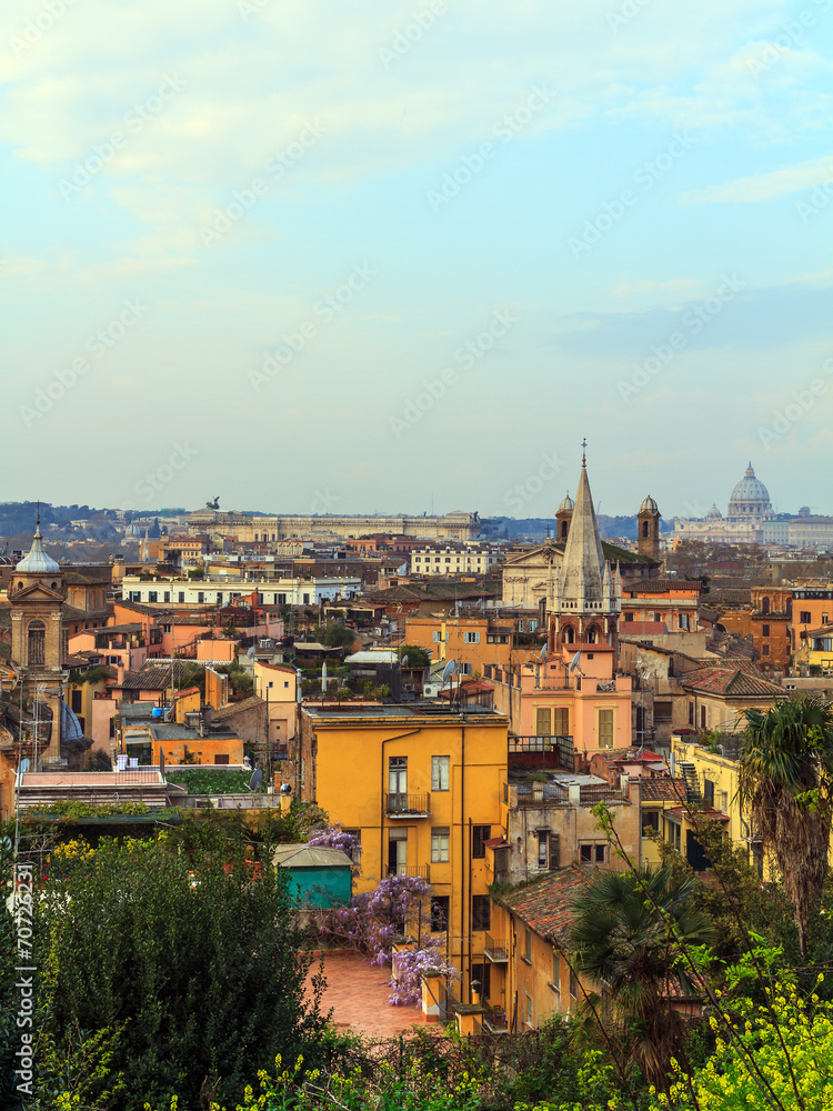 Rome Panorama