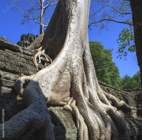 Angkor s popular temples  Cambodia