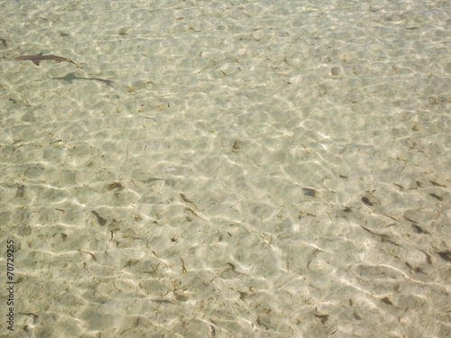 mer seychelles