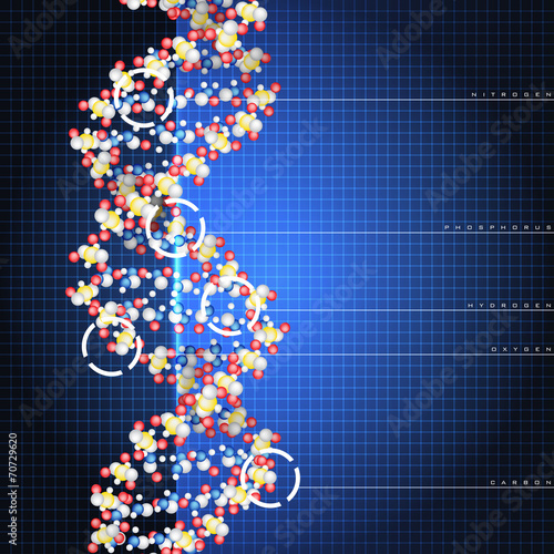 Dna double helix