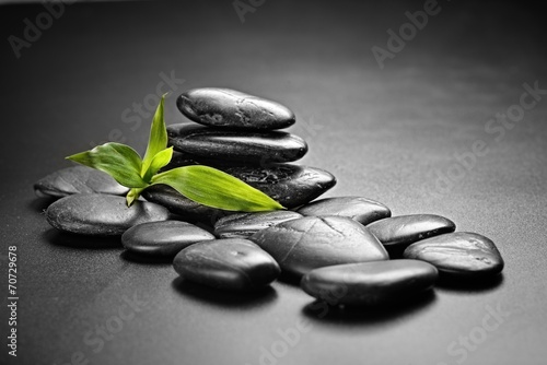 Photography zen stones