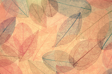 Autumn background