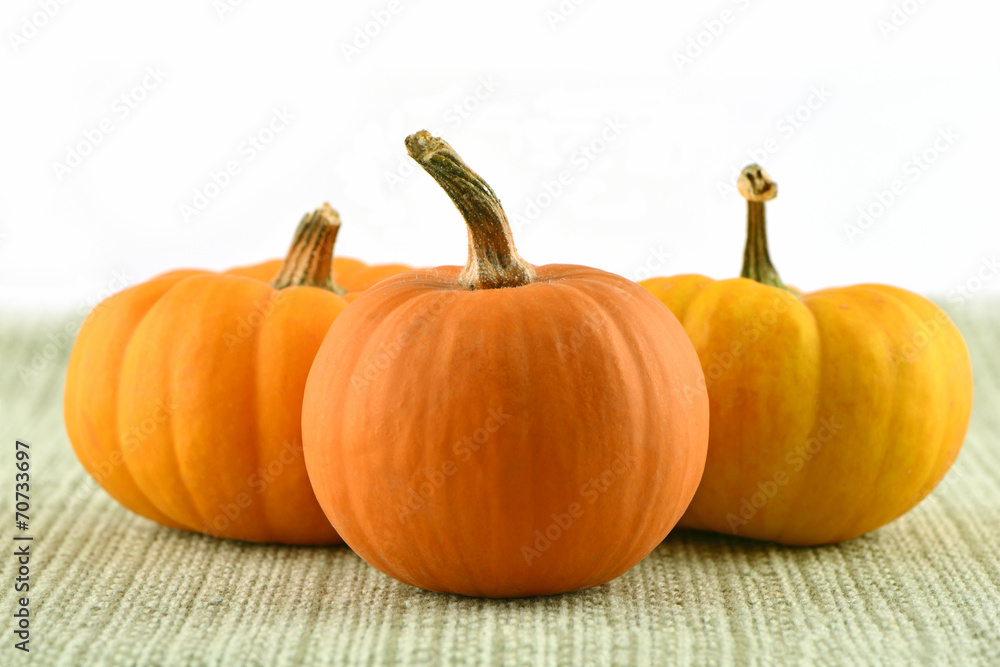 Miniature ornamental pumpkins Miniature ornamental pumpkins