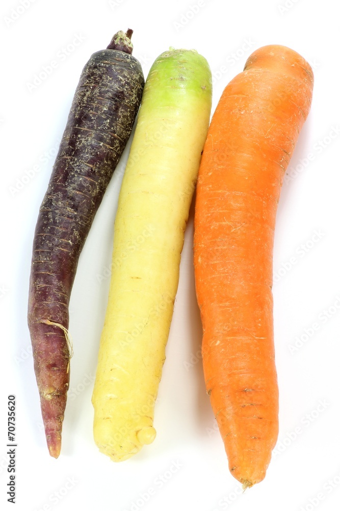 bunte Möhren isoliert auf weißem Hintergrund bunte Möhren isoliert auf weißem Hintergrund