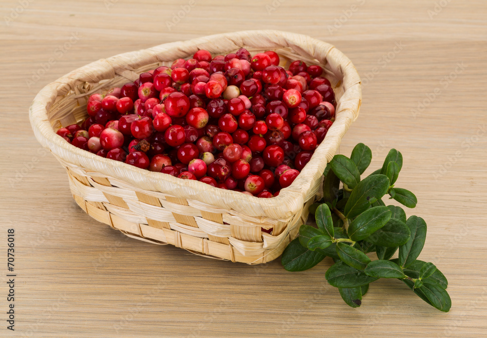 Cowberry Cowberry