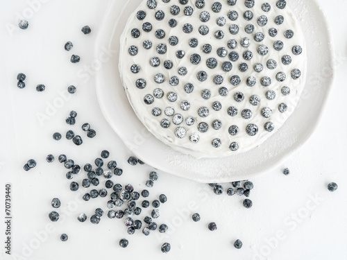 Blueberry pie with cheese cream on a white surface photo