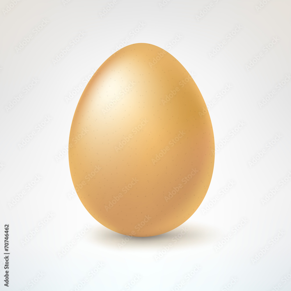 Brown egg, isolated on white background Brown egg, isolated on white background