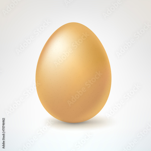 Brown egg, isolated on white background