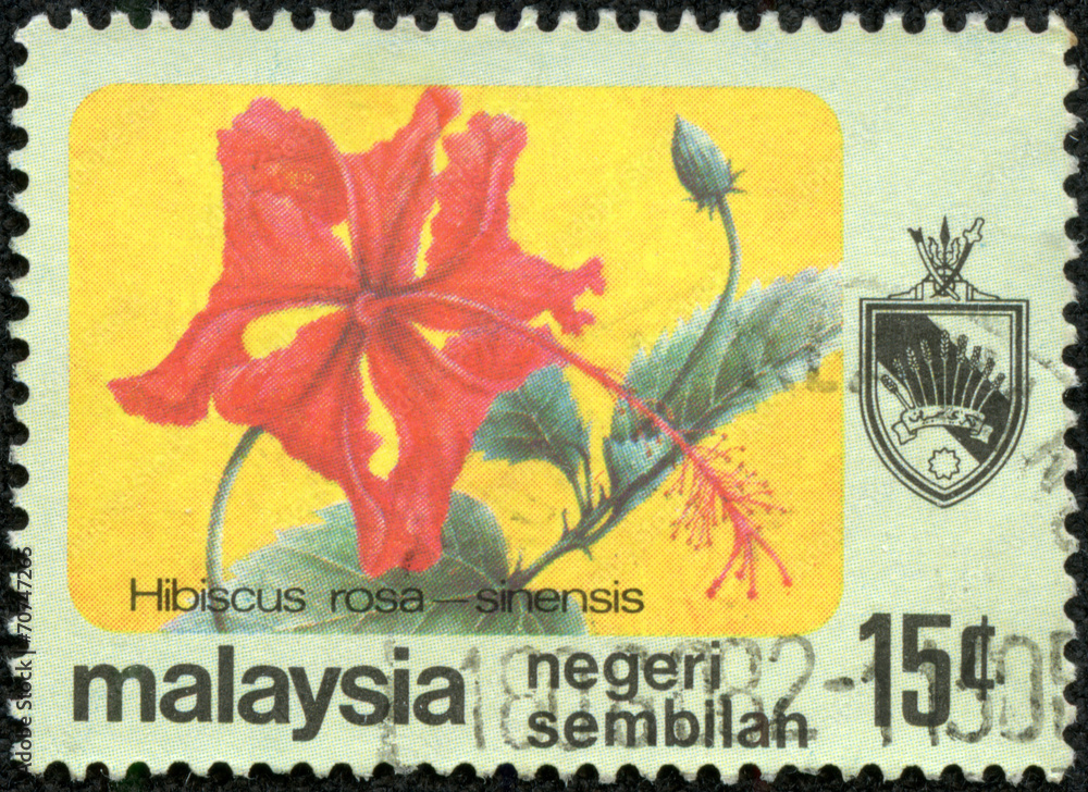 stamp printed in Malaysia shows Hibiscus rosa - sinensis