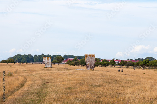 Memorial stone in a meadow