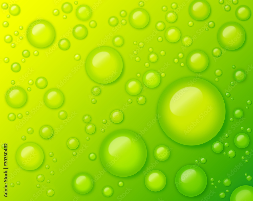 Water Drops on Green Background Abstract