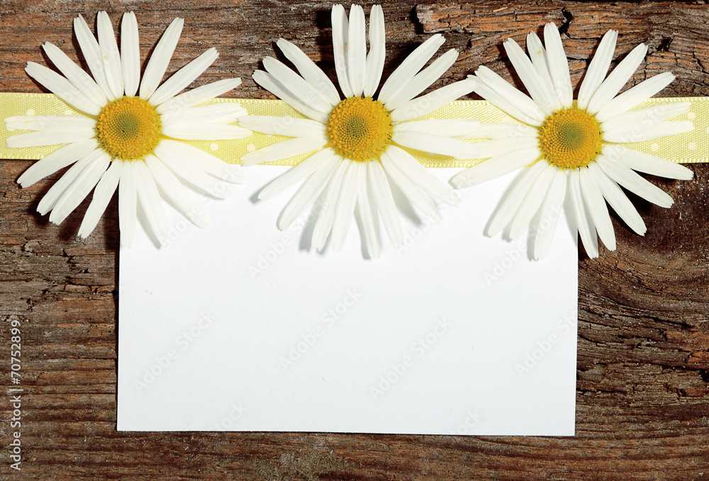 Obraz premium Greeting post card