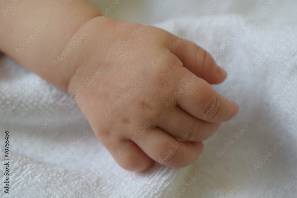 Hand of babies Hand of babies