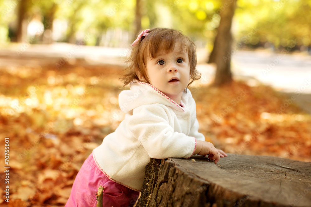 Beautiful little girl with autumn leaves in the beauty park Beautiful little girl with autumn leaves in the beauty park