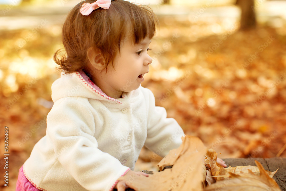 Beautiful little girl with autumn leaves in the beauty park Beautiful little girl with autumn leaves in the beauty park