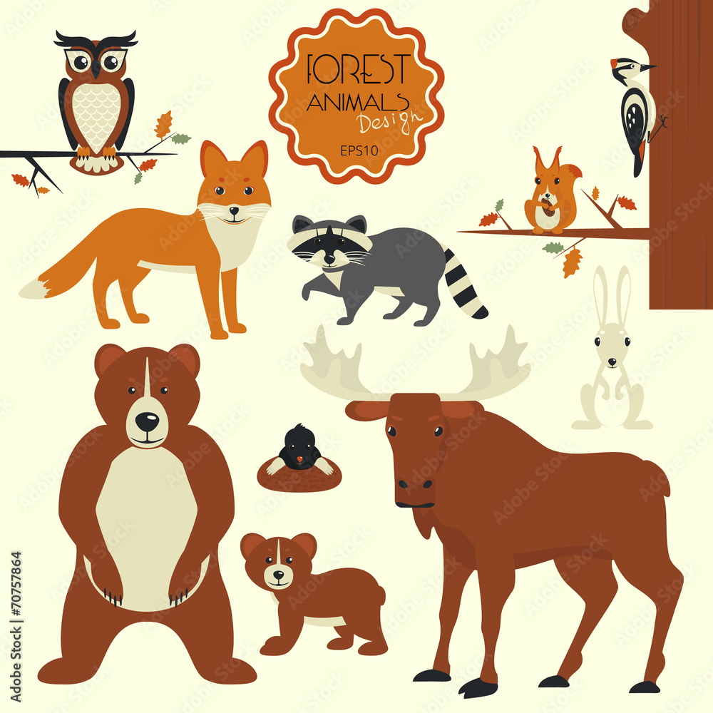 Forest animals Forest animals