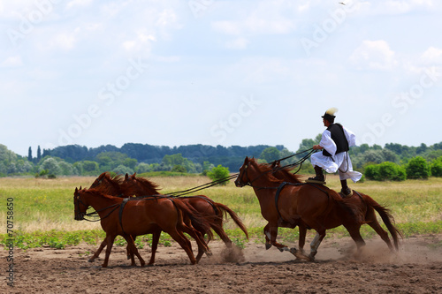 horse riding photo