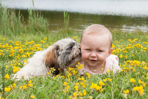 Puppy is washing the baby