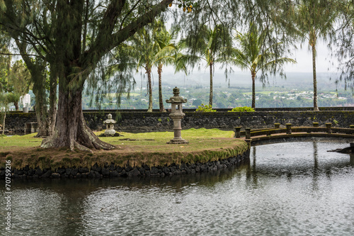 The Gardens in Hilo  Hawaii