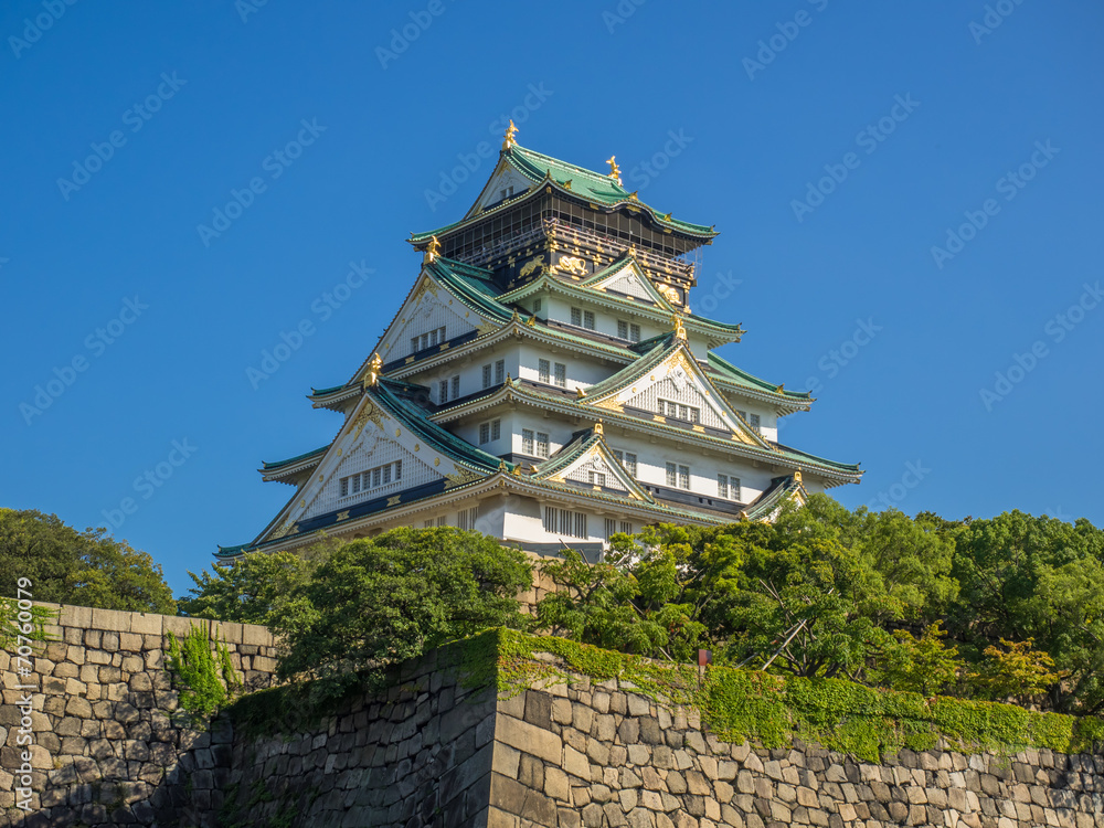 Fototapeta Osaka castle ,Japan