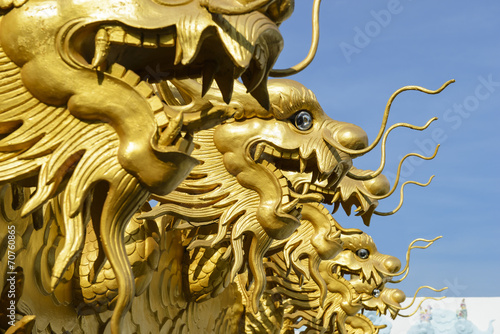 Chinese gold dragon