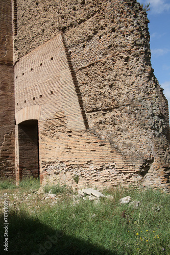 Canvas Print Palatine Hill