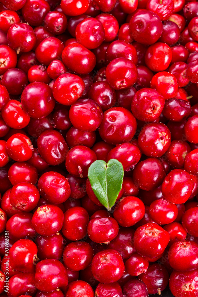 Lingonberries Lingonberries