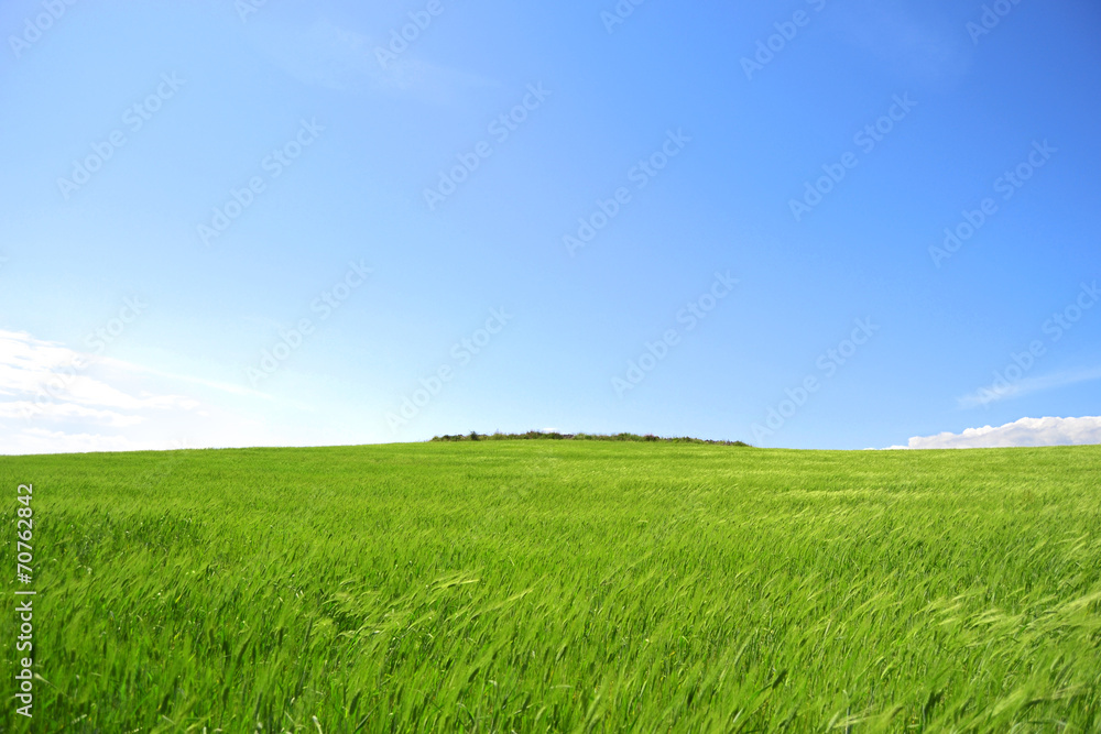 Prato verde con cielo azzurro - pianeta verde