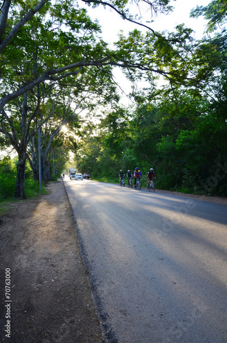 Tree Tunnel Natural Road at Sunset time