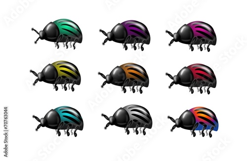 Set of beetles