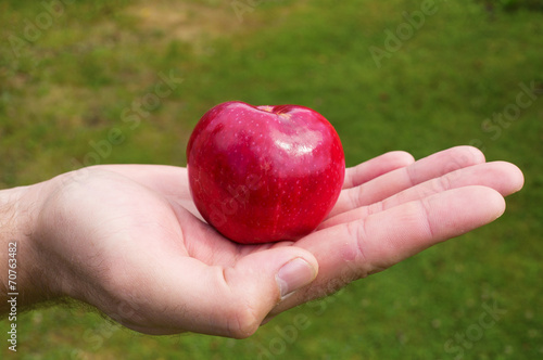 Red apple is lying on man palm