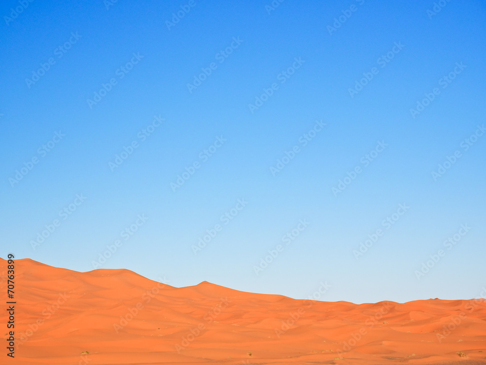 Naklejka premium サハラ砂漠