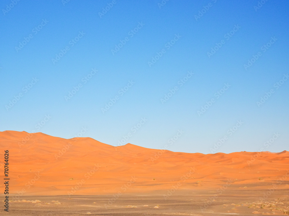 Fototapeta premium サハラ砂漠