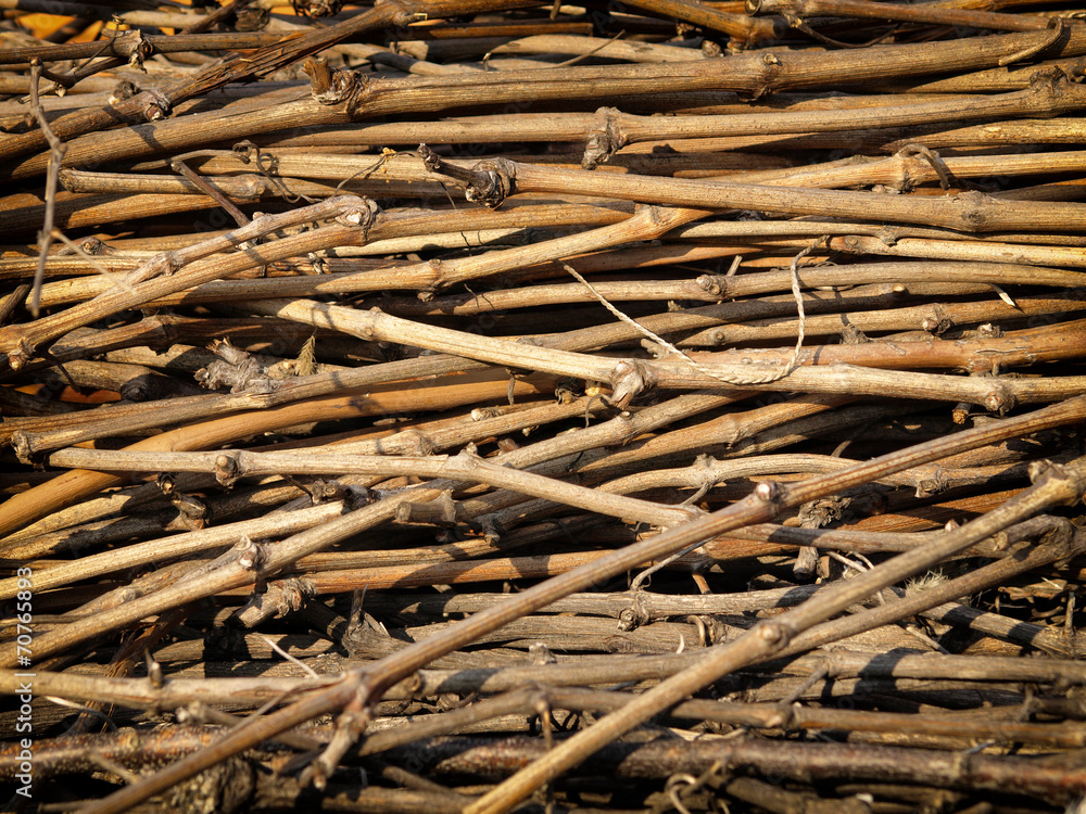 Background of dry branches of grapes. Background of dry branches of grapes.