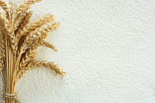 Wheat flour and wheat spike