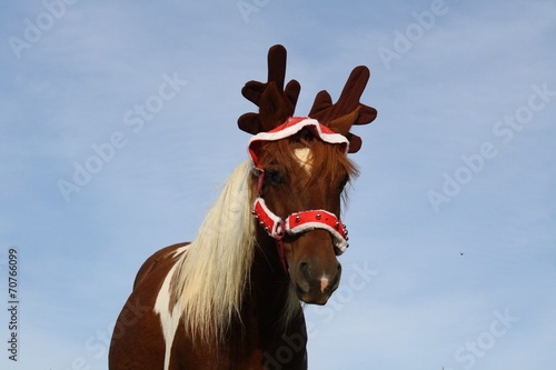 Jument habillée de renne de Noël
