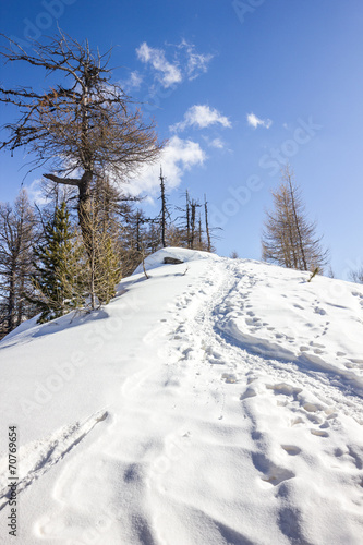 Panorama invernale di montagna © MarcoMonticone